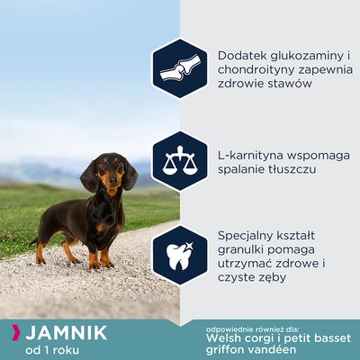 Jamnik od 1 roku. Dodatek glukozaminy i chondroityny zapewnia zdrowie stawów, L-karnityna wspomaga spalanie tłuszczu, specjalny kształt granulki pomaga utrzymać zdrowe i czyste zęby.