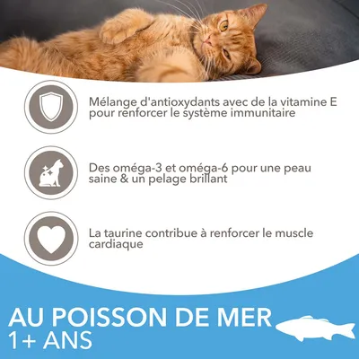 Mélange d'antioxydants avec vitamine E, oméga-3 et oméga-6 pour peau saine, taurine pour muscle cardiaque. Au poisson de mer 1+ ans. Texte en français belge.
