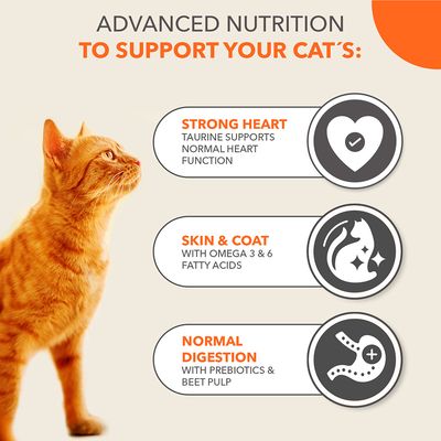 IAMS kissanruoka lohella, 87 % eläinproteiinia, kissoille yli 1 v. 100 % tasapainoinen ravinto, vahva immuunijärjestelmä, 3 kg, kierrätettävä pakkaus, ilman keinotekoisia lisäaineita.