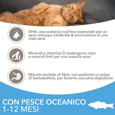 DHA per sviluppo cerebrale e vista sana, minerali e vitamina D per ossa e muscoli forti, fibre con prebiotici e polpa di barbabietola per digestione. Con pesce oceanico 1–12 mesi.