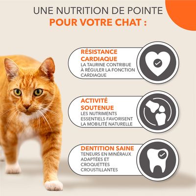 Texte : Résistance cardiaque, la taurine contribue à réguler la fonction cardiaque ; Activité soutenue, les nutriments essentiels favorisent la mobilité naturelle ; Dentition saine, teneurs en minéraux adaptées et croquettes croustillantes.