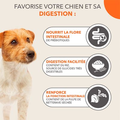 Favorise votre chien et sa digestion : nourrit la flore intestinale de prébiotiques, digestion facilitée avec riz, renforce la fonction intestinale avec pulpe de betterave séchée.