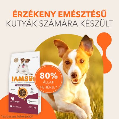 IAMS Sensitive Digestion kutyatáp csomagolás, feliratok: Érzékeny emésztésű kutyák számára készült, 80% állati fehérje*, 1+ év, pulykával, 2 kg. *az összes fehérjéből