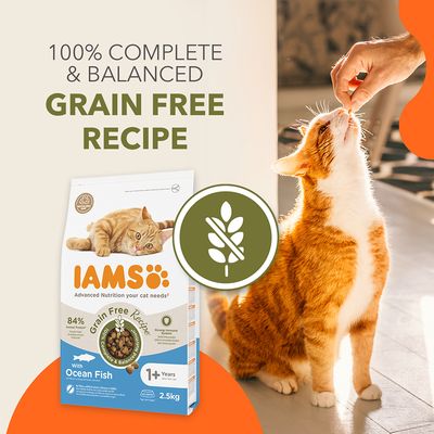 IAMS Grain Free Recipe s oceánskou rybou pre mačky od 1 roka, 2,5 kg. 84 % živočíšnych bielkovín. 100 % Complete & Balanced. Obal s oranžovou mačkou a ikonou bez obilnín.