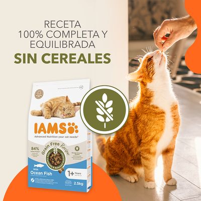 Pienso para gatos IAMS Grain Free con pescado, 2,5 kg. Texto visible: receta 100% completa y equilibrada, sin cereales. Imagen de un gato naranja y símbolo de grano tachado.
