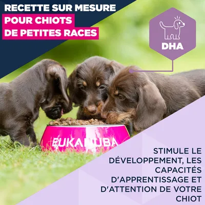 Eukanuba Premium Nutrition Puppy Small Breed au poulet - 3 kg