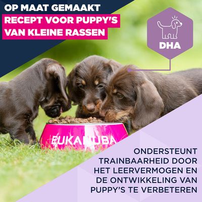 Eukanuba Premium Nutrition Puppy Klein Ras Kip - 3 kg