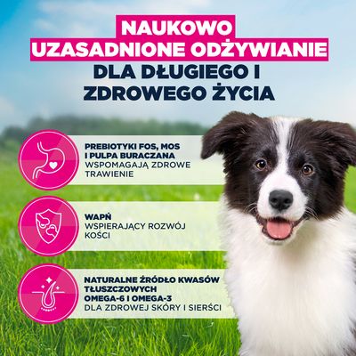 Eukanuba Premium Nutrition: Puppy Medium Breed, kurczak + Adult Medium Breed, kurczak, 100 g gratis!