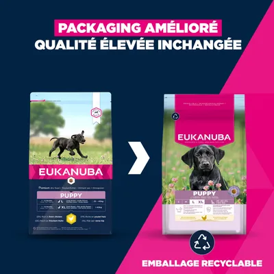 Eukanuba Premium Nutrition Puppy Large & Giant Breed poulet - 15 kg