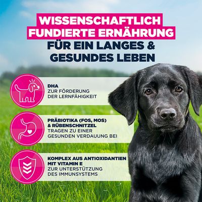3 kg gratis! 18 kg Eukanuba Premium Nutrition mit Huhn