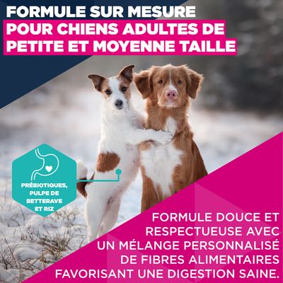Eukanuba Premium Nutrition Adult Small et Medium Breed Agneau et Riz - 12 kg