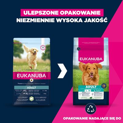 Eukanuba Premium Nutrition Adult Large & Giant Breed, jagnięcina i ryż