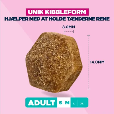 Eukanuba Premium Nutrition Adult Small & Medium Breed Laks - 12 kg