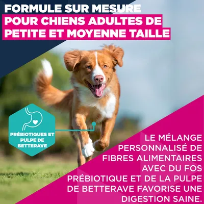 Eukanuba Premium Nutrition Adult Small et Medium Breed saumon - lot économique : 2 x 12 kg