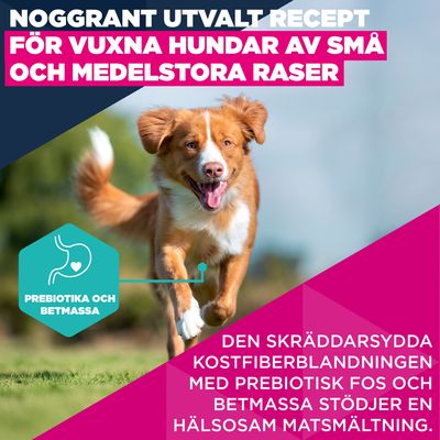 Eukanuba Premium Nutrition Adult Small & Medium Breed Salmon