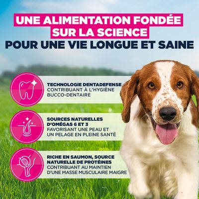 Eukanuba Premium Nutrition Adult Small et Medium Breed saumon - 12 kg