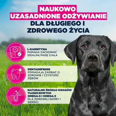 Eukanuba Premium Nutrition Mature Large & Giant Breed, kurczak - 2 x 15 kg