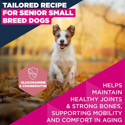 Eukanuba Premium Nutrition Senior Small Breed kana - säästöpakkaus: 2 x 3 kg