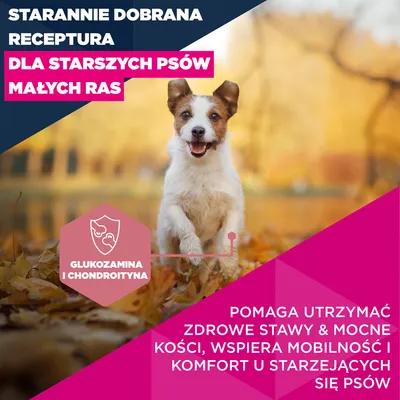 Eukanuba Premium Nutrition Senior Small Breed, kurczak - 2 x 3 kg
