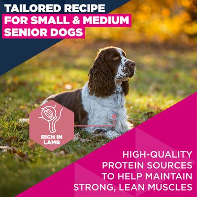 Eukanuba Premium Nutrition Senior Small & Medium Breed karitsa & riisi - 12 kg
