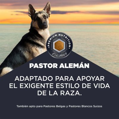 Nutrición premium desde 1969. Para pastores alemanes, adaptada al exigente estilo de vida de la raza. También apta para pastores belgas y pastores blancos suizos.
