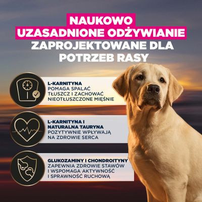 L-karnityna wspomaga spalanie tłuszczu oraz utrzymanie masy mięśniowej, L-karnityna i tauryna wspierają zdrowie serca, glukozamina i chondroityna wzmacniają stawy i poprawiają ruchomość.