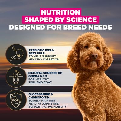 Prebiotic FOS & beet pulp for healthy digestion, omega 6 & 3 for skin and coat, glucosamine & chondroitin for joints and mobility. Nutrition tailored to breed-specific needs.