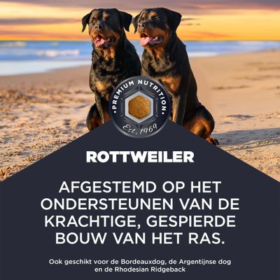 ROTTWEILER. Afgestemd op het ondersteunen van de krachtige, gespierde lichaamsbouw van het ras. Ook geschikt voor Bordeauxdog, Argentijnse dog en Rhodesian Ridgeback.