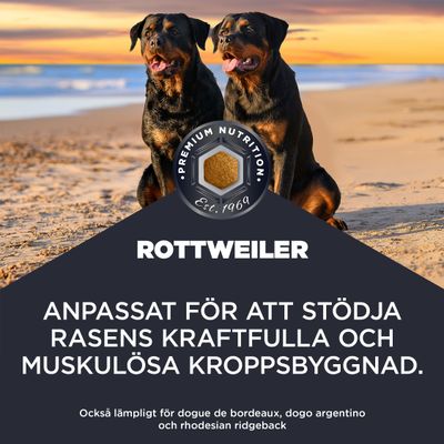 Rottweiler. Anpassad för att stödja den kraftfulla och muskulösa kroppsstrukturen. Även lämplig för dogue de bordeaux, dogo argentino och rhodesian ridgeback.