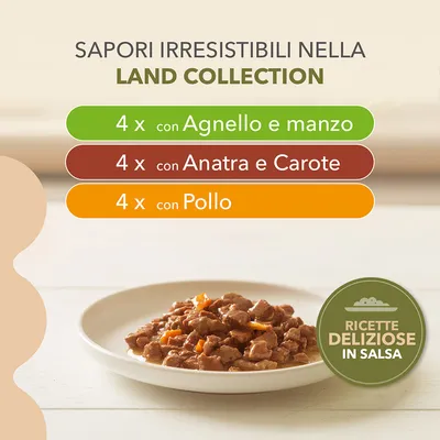IAMS Advanced Nutrition Grain Free Land Collection in Salsa - Set %: 48 x 85 g