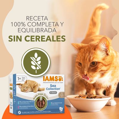 Caja de IAMS Sea Collection para gatos, texto visible: 'Receta 100% completa y equilibrada sin cereales', símbolo de grano tachado, gato naranja comiendo en un cuenco.