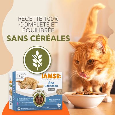 IAMS Advanced Nutrition Grain Free Sea Collection en sauce pour chat