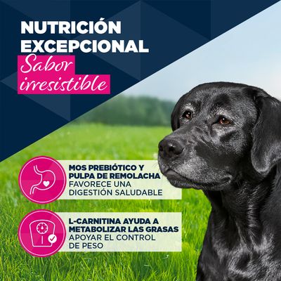 Eukanuba Senior rico en cordero con patata