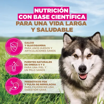 Eukanuba Grain Free Adult Large & Giant Breed pescado de mar - 12 kg
