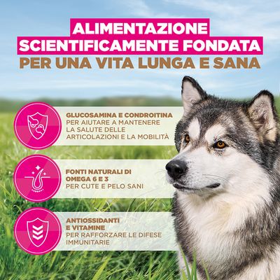 Eukanuba Grain Free Senior Large & Giant Pesce oceanico - 12 kg