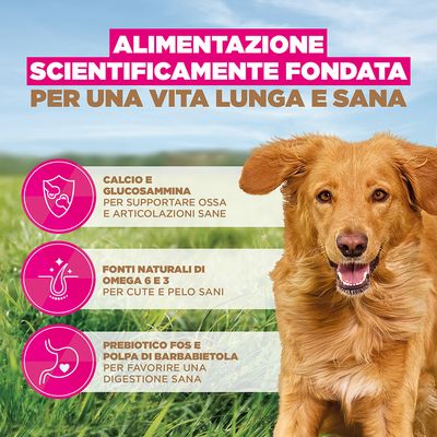 Eukanuba Grain Free Adult Large con Agnello - 12 kg