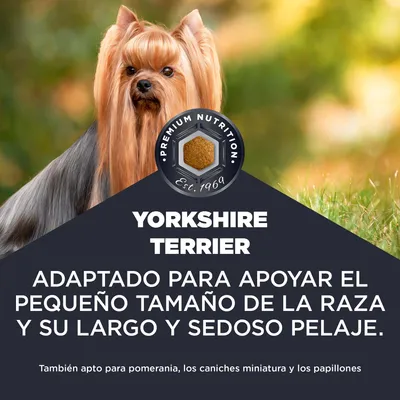 Yorkshire Terrier. Adaptado al pequeño tamaño de la raza y a su largo y sedoso pelaje. También apto para Pomerania, Caniche miniatura y Papillón.