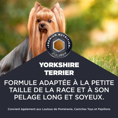 Yorkshire Terrier. Formule adaptée à la petite taille et à la longue fourrure soyeuse. Convient également aux Loulous de Poméranie, Caniches Toys et Papillons.