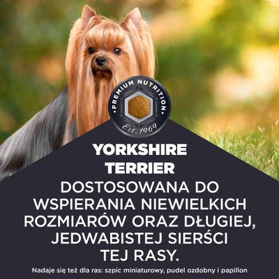 Yorkshire terier. Odpowiednio dostosowany do wspomagania małych rozmiarów i długiej, jedwabistej sierści tej rasy. Odpowiedni także dla szpica miniaturowego, pudla miniaturowego oraz papillon.