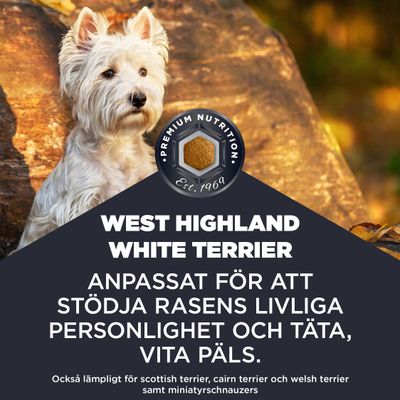 West Highland White Terrier. Anpassat för att stödja rasens livliga personlighet och täta, vita päls. Även lämpligt för skotsk terrier, cairnterrier, welshterrier och dvärgschnauzer.