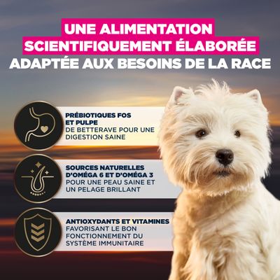Prébiotiques FOS et pulpe de betterave pour une digestion saine, oméga-6 et oméga-3 naturels pour la peau et la fourrure, antioxydants et vitamines pour la fonction du système immunitaire