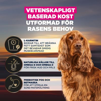 Vetenskapligt baserad näring, L-karnitin för fettförbränning, omega-6 och omega-3 för hud och päls, prebiotiska FOS och betmassa för en sund matsmältning.