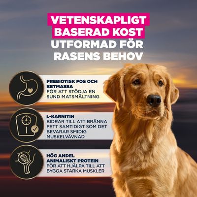 Vetenskapligt baserad näring, utvecklad för rasers behov: prebiotiska FOS och betmassa, L-karnitin, hög andel animaliskt protein. Stödjer matsmältning och muskeluppbyggnad.