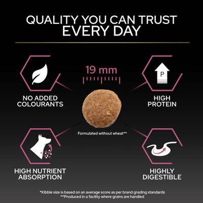 Velikost briket 19 mm, brez dodanih barvil, visok delež beljakovin, visoka absorpcija hranil, visoka prebavljivost, formulirano brez pšenice.