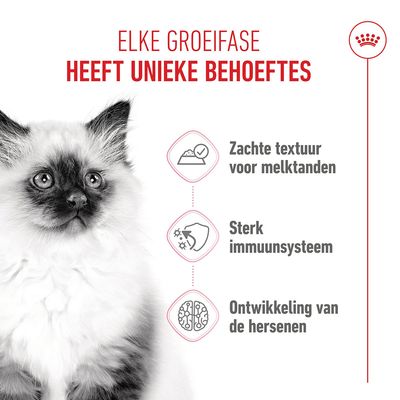 Royal Canin Kitten Instinctive in Saus