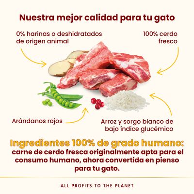 Almo Nature HFC Adult Sterilized cerdo