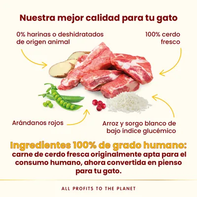 Almo Nature HFC Adult Sterilized cerdo - 1,2 kg