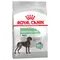 Royal Canin Maxi Digestive Care - dog dry food 12kg