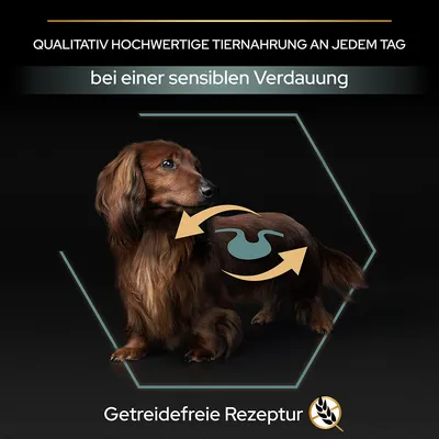 Texte en allemand : 'Qualitativ hochwertige Tiernahrung an jedem Tag', 'bei einer sensiblen Verdauung', 'Getreidefreie Rezeptur'. Illustration d’un chien avec symbole de digestion.
