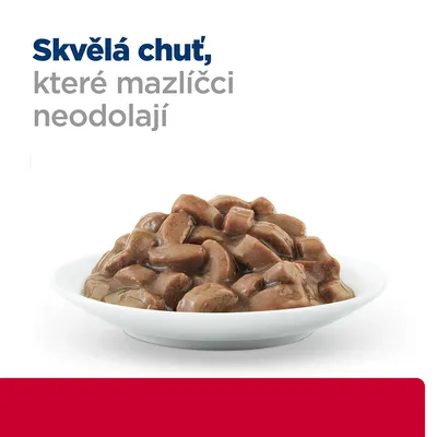 Miska s kúskami mäsového krmiva v omáčke, nad ňou text: Skvělá chuť, které mazlíčci neodolají (text v češtine).
